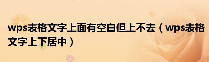 wps表格文字上面有空白但上不去（wps表格文字上下居中）