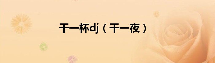 干一杯dj（干一夜）