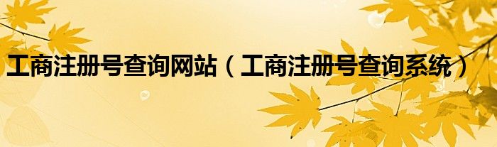 工商注册号查询网站（工商注册号查询系统）