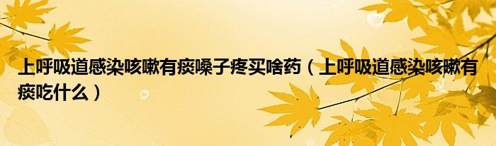 上呼吸道感染咳嗽有痰嗓子疼买啥药（上呼吸道感染咳嗽有痰吃什么）