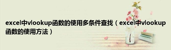 excel中vlookup函数的使用多条件查找（excel中vlookup函数的使用方法）