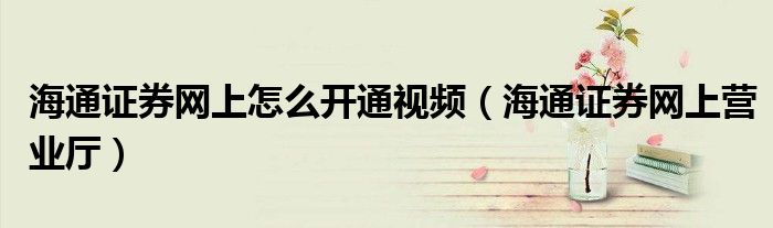 海通证券网上怎么开通视频（海通证券网上营业厅）