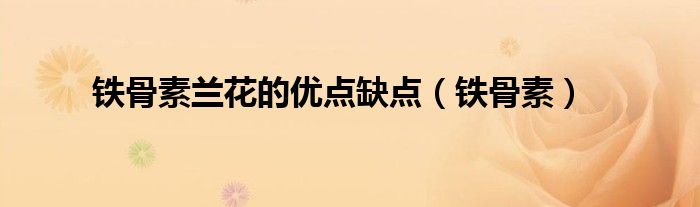 铁骨素兰花的优点缺点（铁骨素）