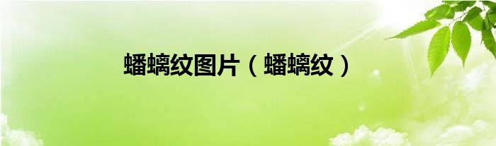 蟠螭纹图片（蟠螭纹）