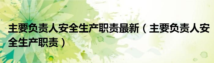 主要负责人安全生产职责最新（主要负责人安全生产职责）