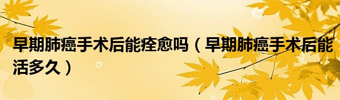 早期肺癌手术后能痊愈吗（早期肺癌手术后能活多久）