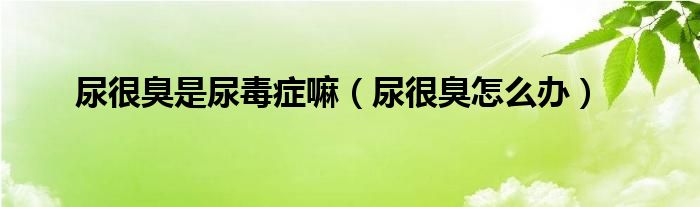 尿很臭是尿毒症嘛（尿很臭怎么办）