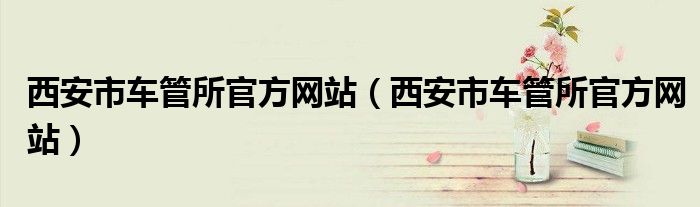 西安市车管所官方网站（西安市车管所官方网站）