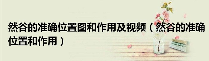 然谷的准确位置图和作用及视频（然谷的准确位置和作用）