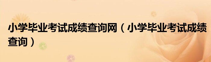 小学毕业考试成绩查询网（小学毕业考试成绩查询）
