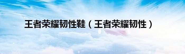 王者荣耀韧性鞋（王者荣耀韧性）