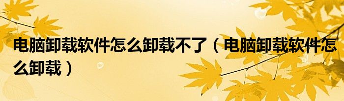 电脑卸载软件怎么卸载不了（电脑卸载软件怎么卸载）
