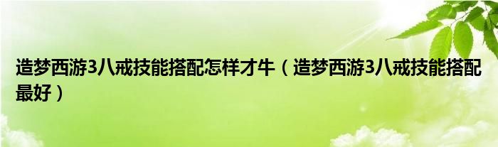 造梦西游3八戒技能搭配怎样才牛（造梦西游3八戒技能搭配最好）
