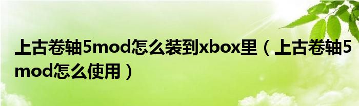 上古卷轴5mod怎么装到xbox里（上古卷轴5mod怎么使用）