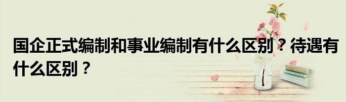 国企正式编制和事业编制有什么区别？待遇有什么区别？