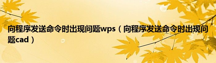 向程序发送命令时出现问题wps（向程序发送命令时出现问题cad）