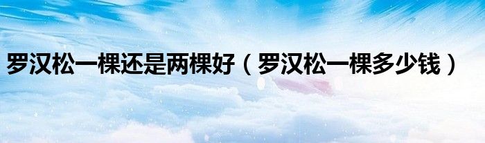 罗汉松一棵还是两棵好（罗汉松一棵多少钱）