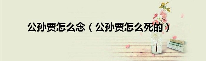 公孙贾怎么念（公孙贾怎么死的）