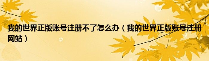 我的世界正版账号注册不了怎么办（我的世界正版账号注册网站）