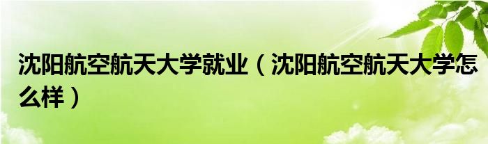 沈阳航空航天大学就业（沈阳航空航天大学怎么样）