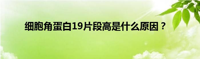 细胞角蛋白19片段高是什么原因？