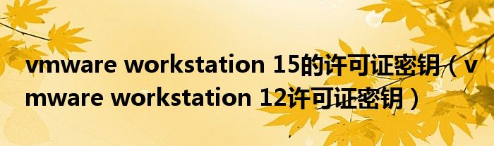 vmware workstation 15的许可证密钥（vmware workstation 12许可证密钥）