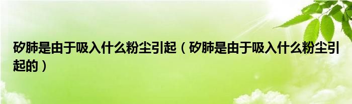 矽肺是由于吸入什么粉尘引起（矽肺是由于吸入什么粉尘引起的）