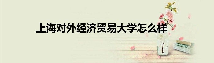 上海对外经济贸易大学怎么样