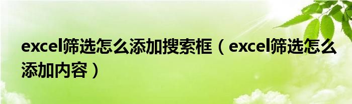 excel筛选怎么添加搜索框（excel筛选怎么添加内容）