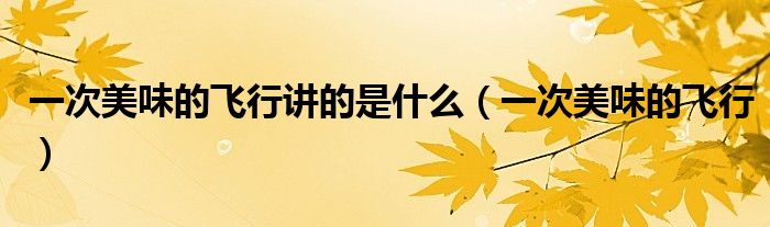 一次美味的飞行讲的是什么（一次美味的飞行）
