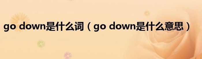 go down是什么词（go down是什么意思）