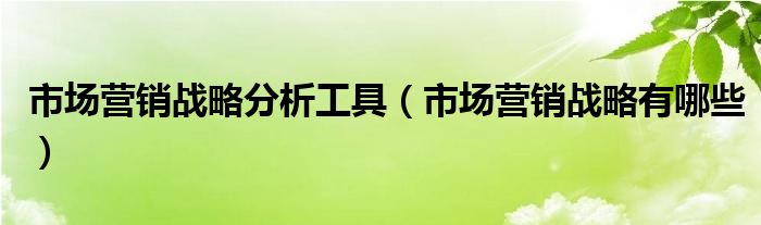 市场营销战略分析工具（市场营销战略有哪些）