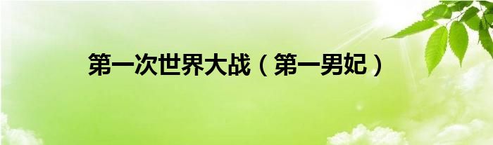 第一次世界大战（第一男妃）
