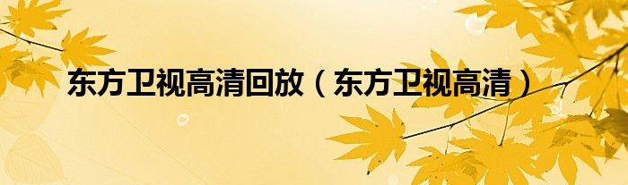 东方卫视高清回放（东方卫视高清）