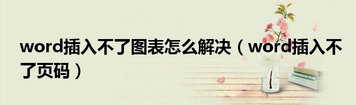 word插入不了图表怎么解决（word插入不了页码）