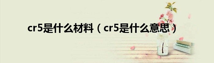 cr5是什么材料（cr5是什么意思）