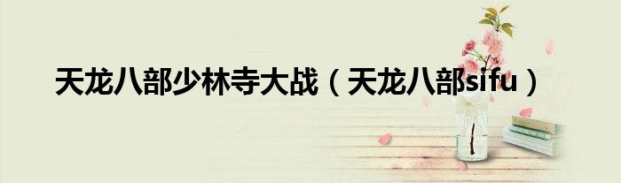 天龙八部少林寺大战(天龙八部sifu)