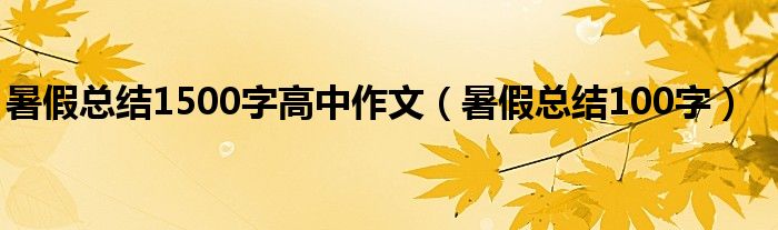 暑假总结1500字高中作文（暑假总结100字）