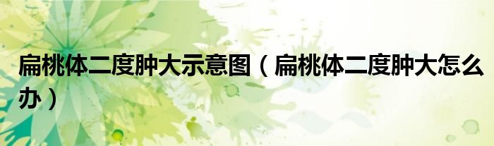 扁桃体二度肿大示意图（扁桃体二度肿大怎么办）