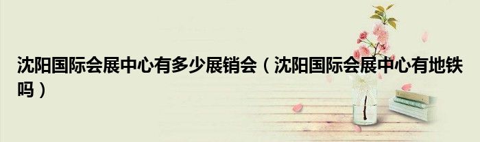 沈阳国际会展中心有多少展销会(沈阳国际会展中心有地铁吗)