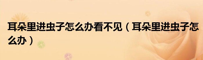 耳朵里进虫子怎么办看不见（耳朵里进虫子怎么办）