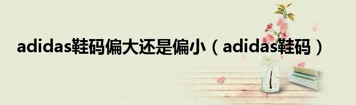 adidas鞋码偏大还是偏小（adidas鞋码）