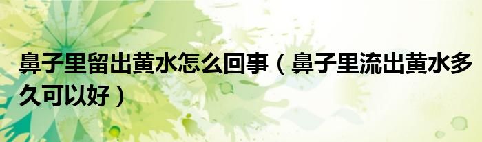 鼻子里留出黄水怎么回事（鼻子里流出黄水多久可以好）