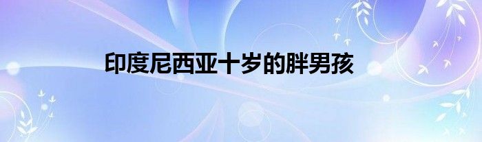 印度尼西亚十岁的胖男孩