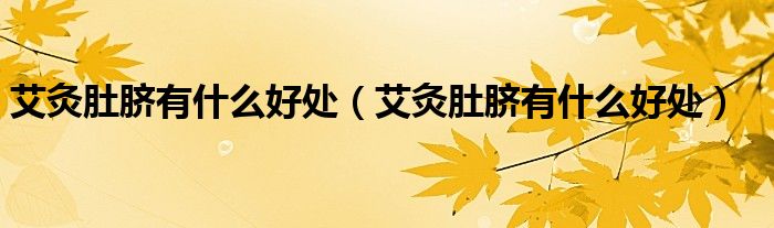 艾灸肚脐有什么好处（艾灸肚脐有什么好处）