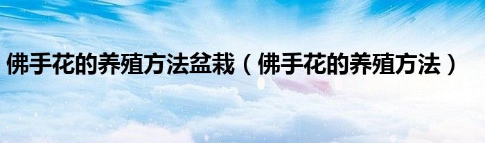 佛手花的养殖方法盆栽（佛手花的养殖方法）