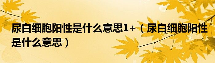尿白细胞阳性是什么意思1+（尿白细胞阳性是什么意思）