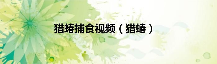猎蝽捕食视频（猎蝽）