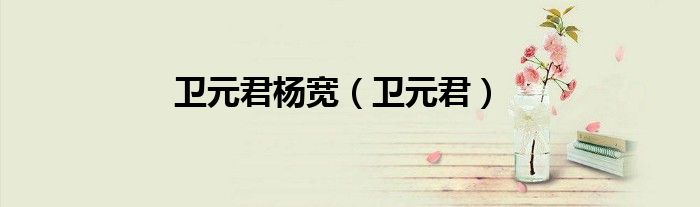 卫元君杨宽（卫元君）
