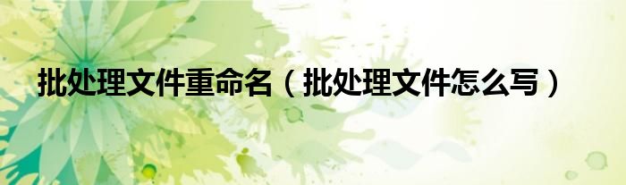 批处理文件重命名(批处理文件怎么写)